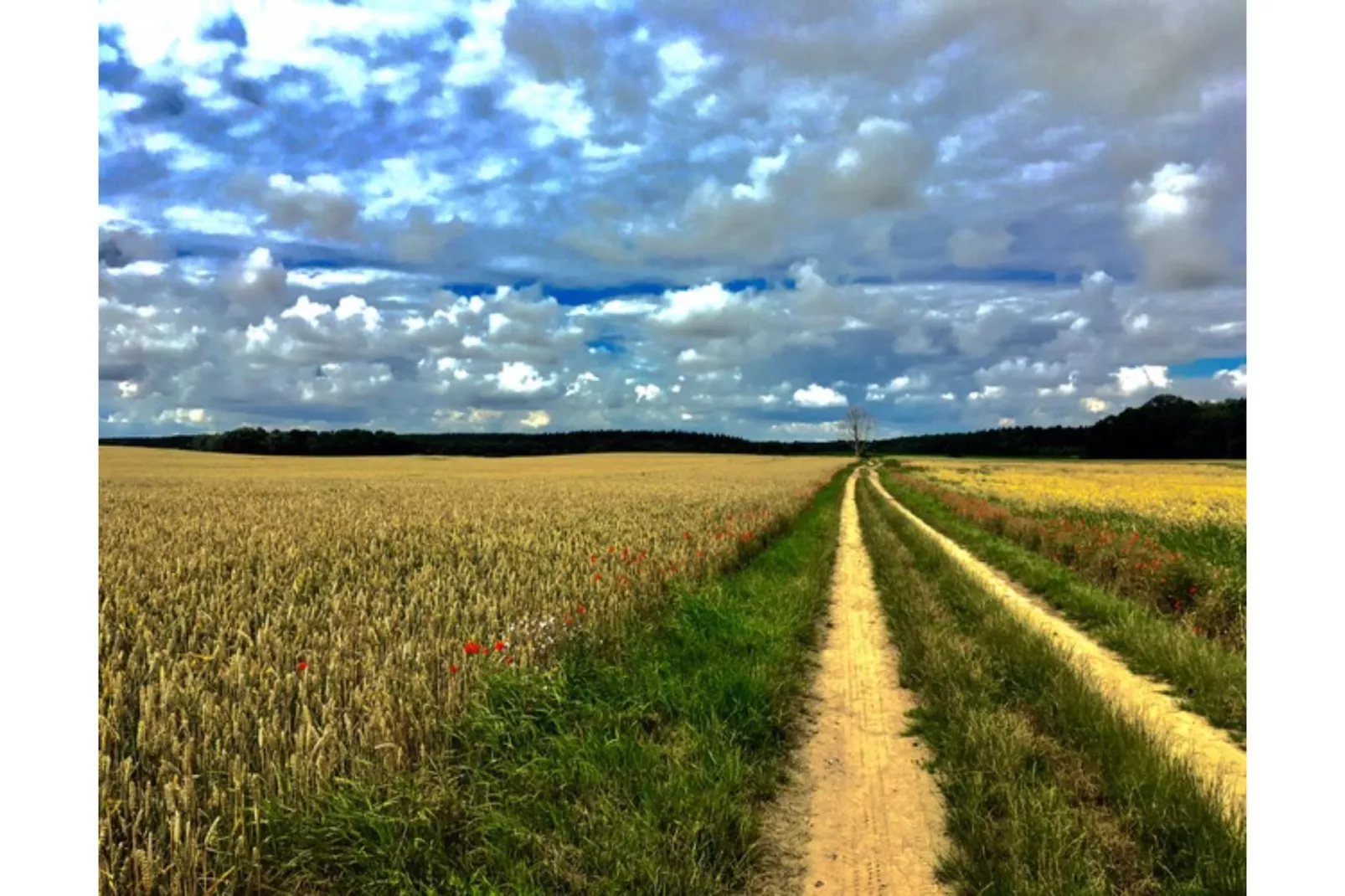 Landlust pur 1-Gebieden zomer 5km