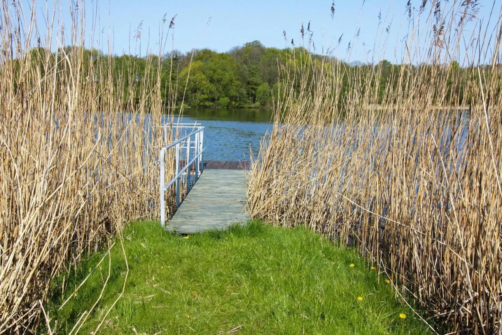 Ferienhaus Seeblick-Uitzicht zomer