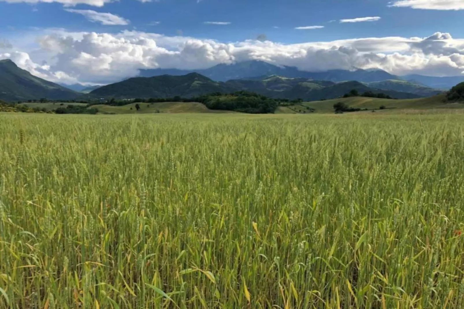 Casale le Querce-Gebieden zomer 20km