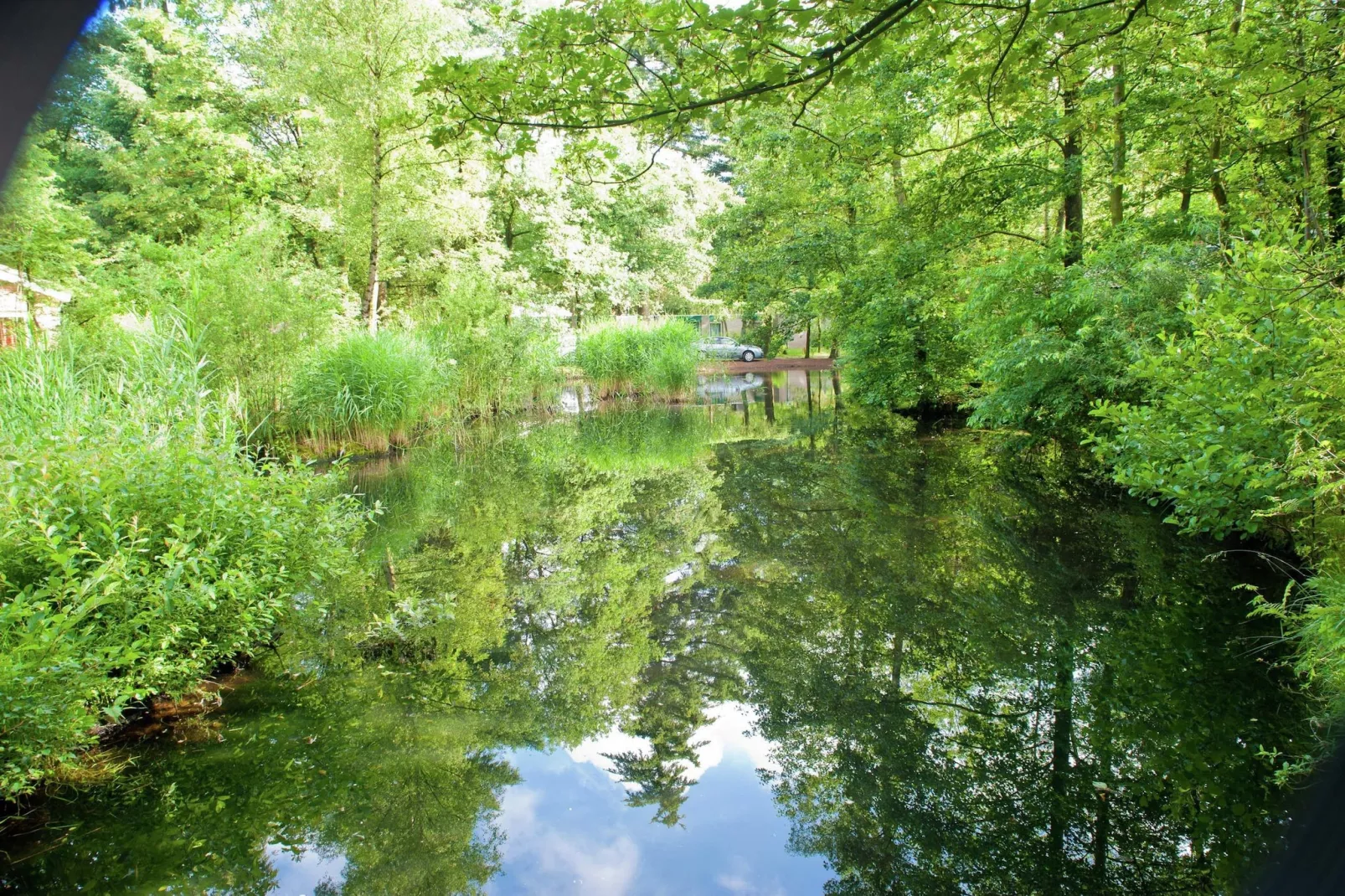 Vakantiepark de Berkenhorst 2-Gebieden zomer 1km