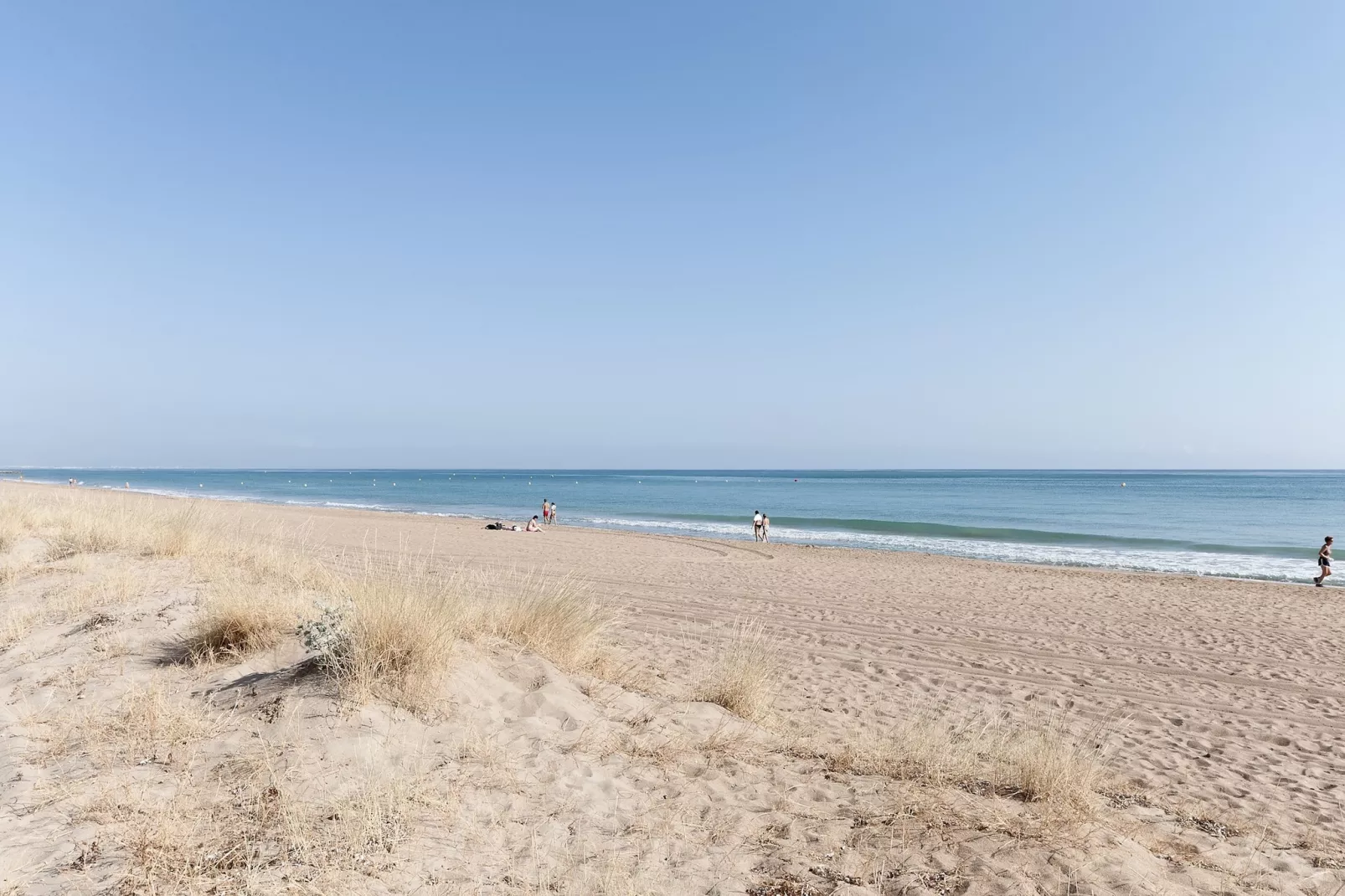 La Mar De Olas-Image-tags.