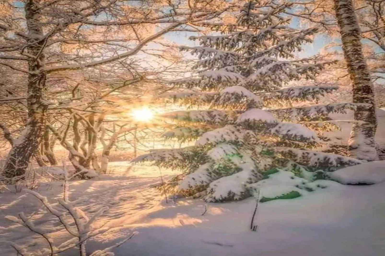 Les Sitelles N°12 - 2P6C-Gebied winter 5km