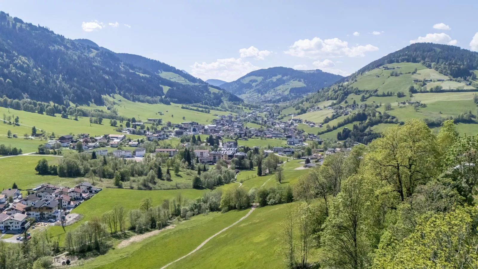 Berghof-Gebieden zomer 1km