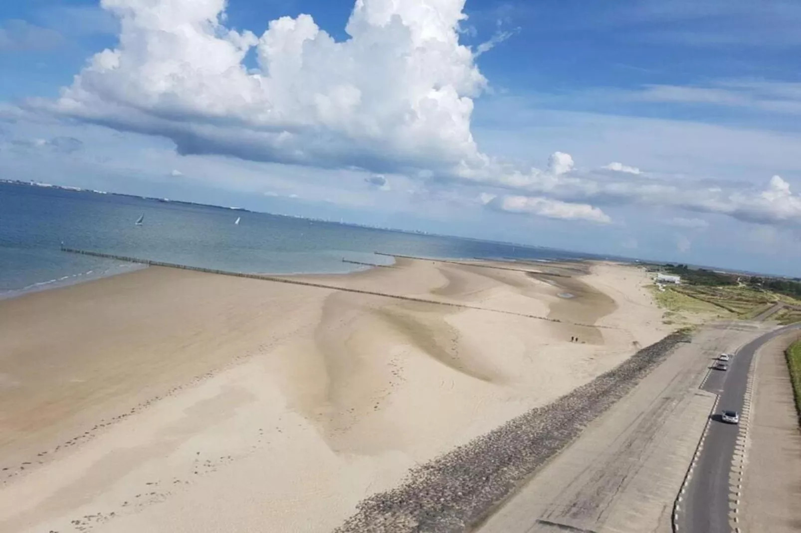 Het Platte Putje - Huisdier - nr 2-Gebieden zomer 20km