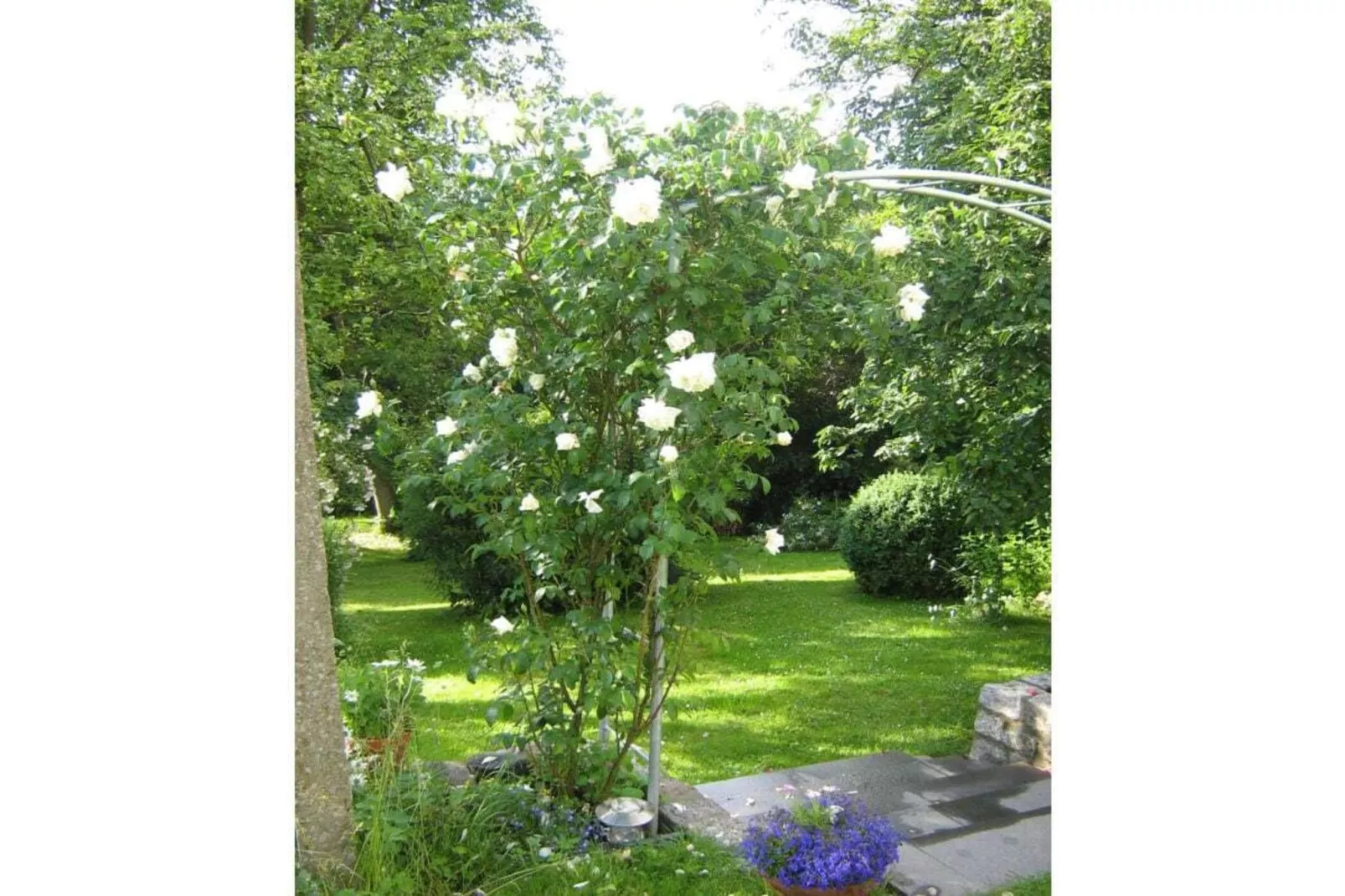 36216-Tuinen zomer