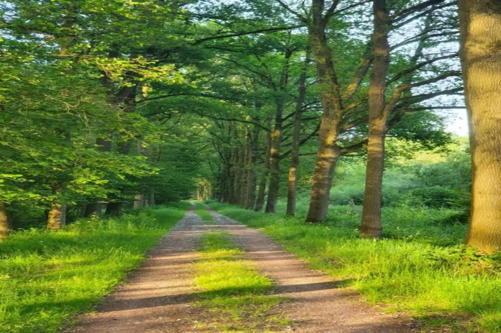De woelige stal-Gebieden zomer 20km