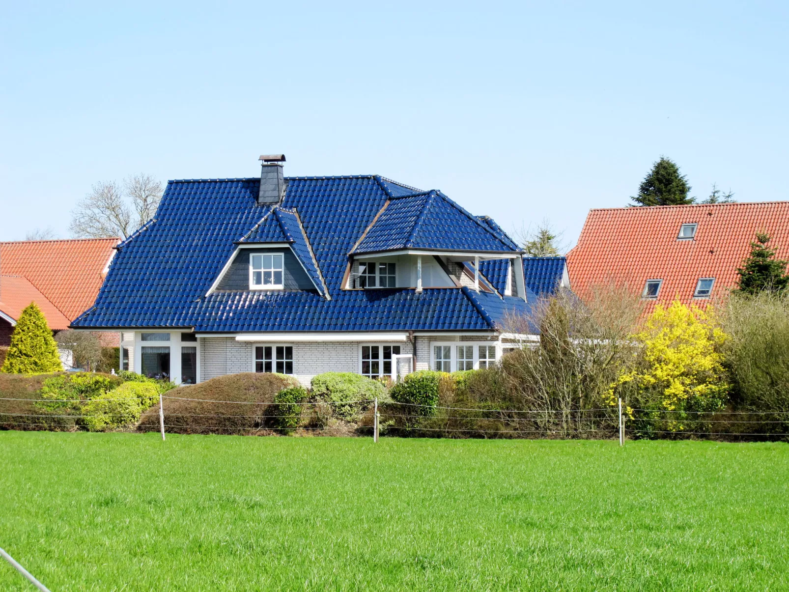 Cohn-Buiten