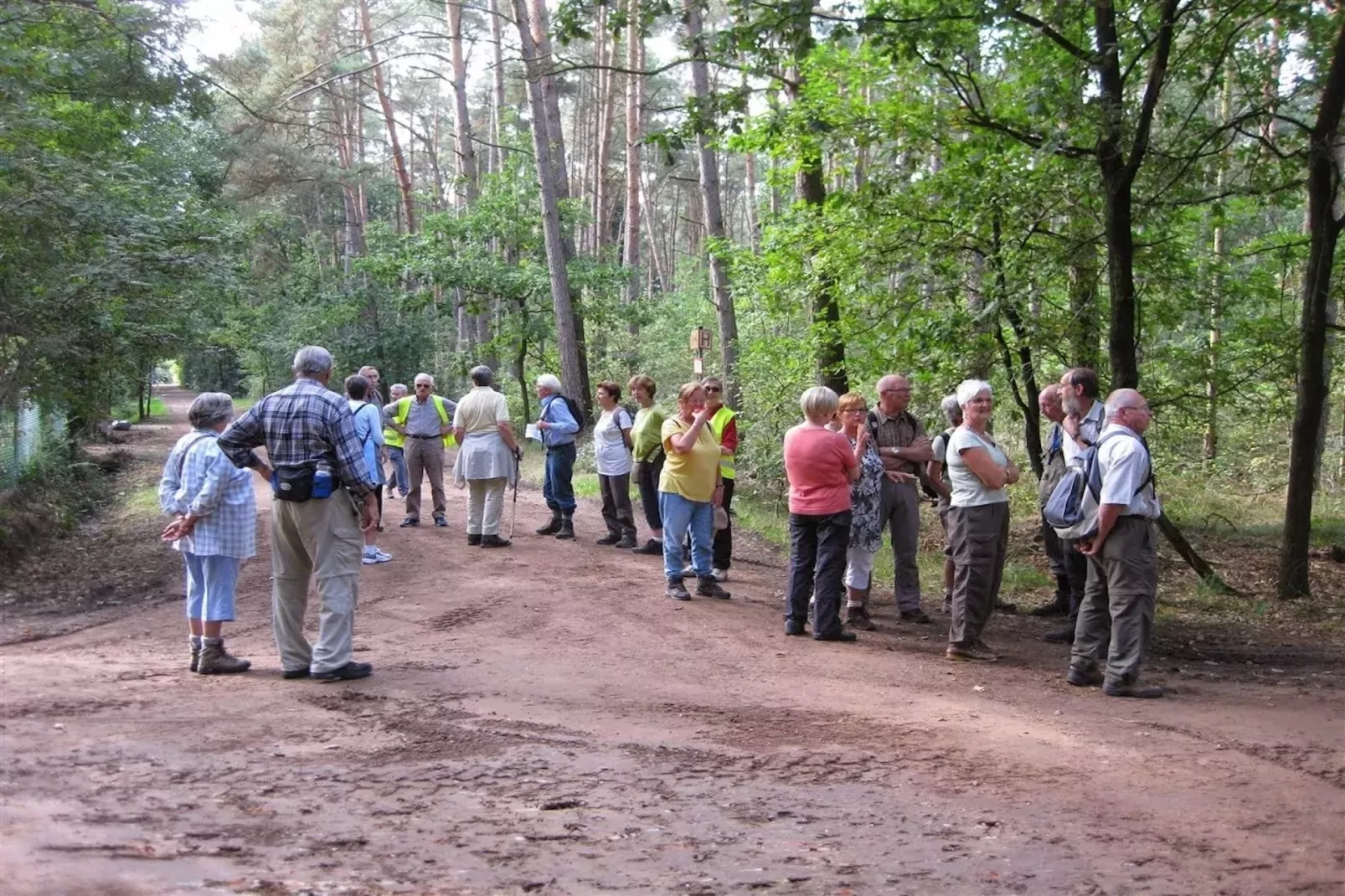 Sparrowhawk-Gebieden zomer 5km