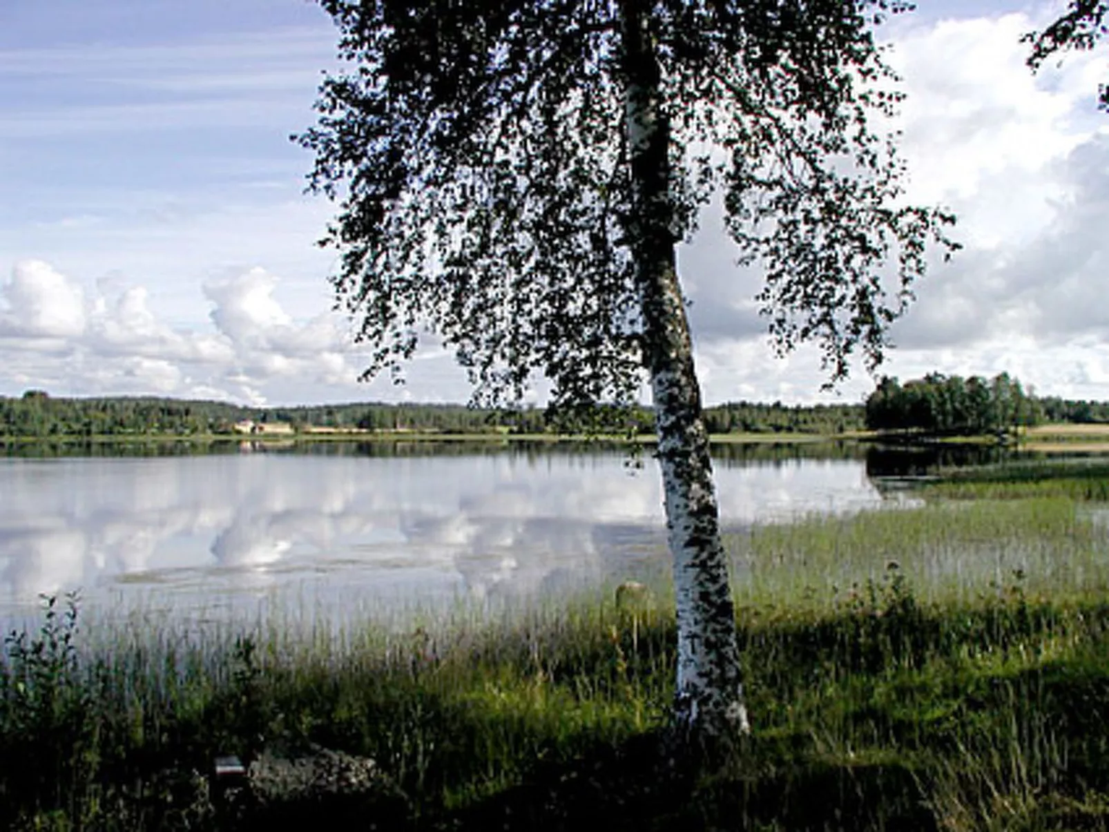 Villiruusu-Buiten