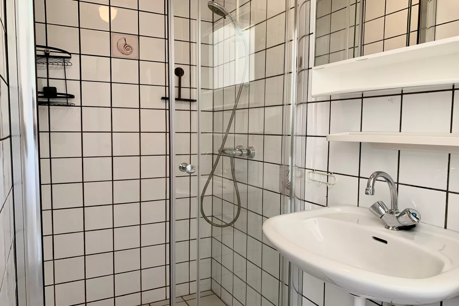 Wildrijk 141-Badkamer