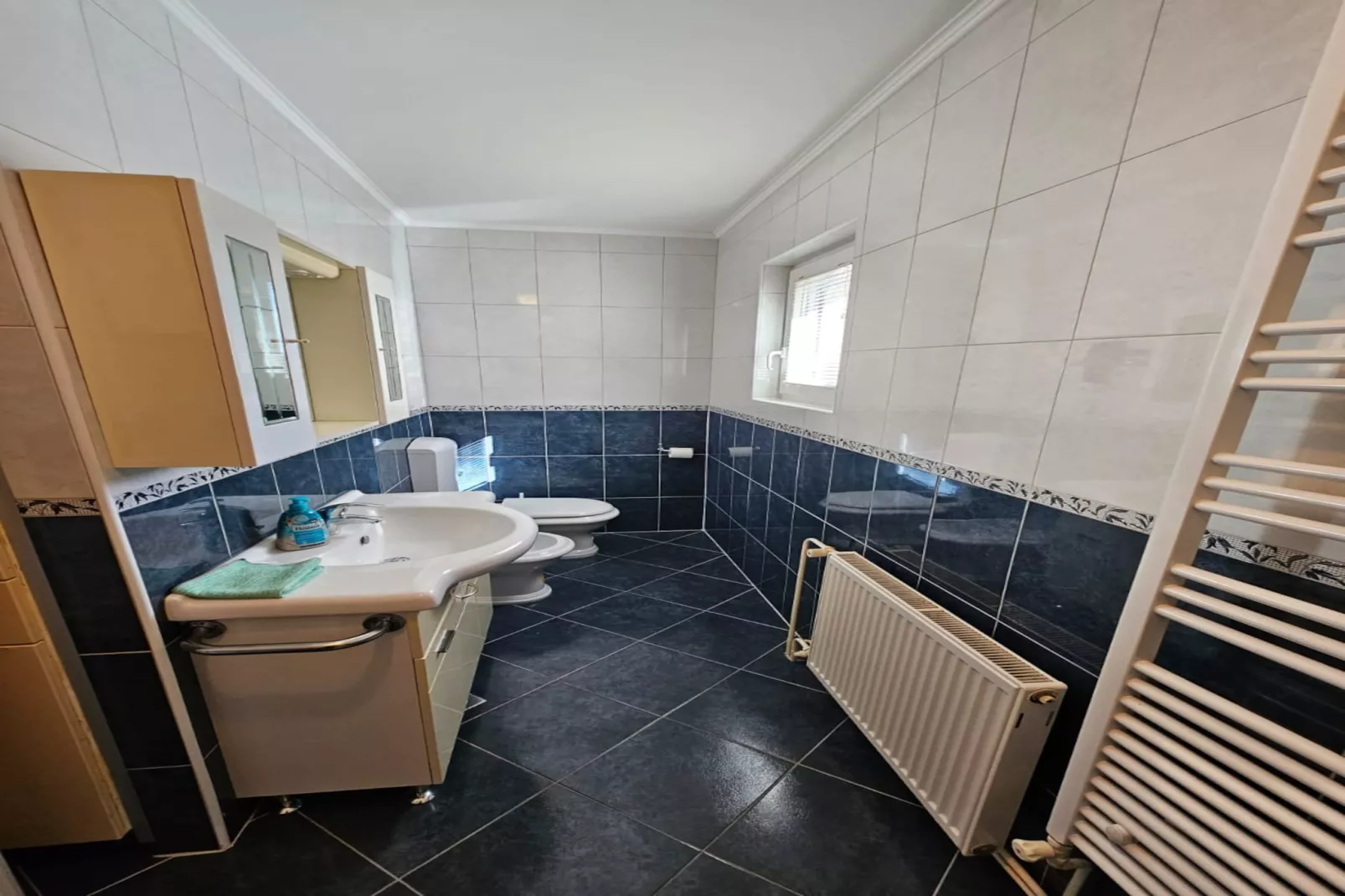 Apartments Olga - two bedroom apartment A2-Badkamer