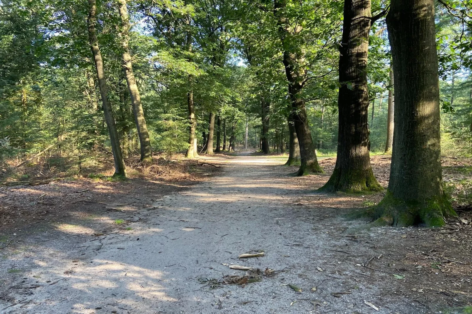 Chalet Bosuil-Gebieden zomer 1km