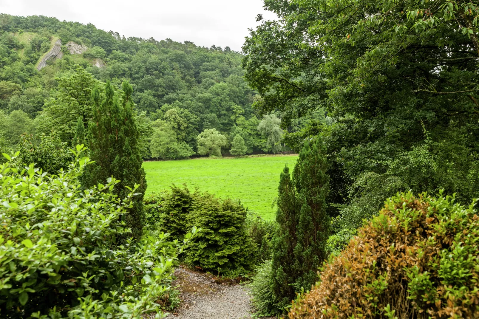 Domaine De L'Ecureuil 1-Gebieden zomer 5km