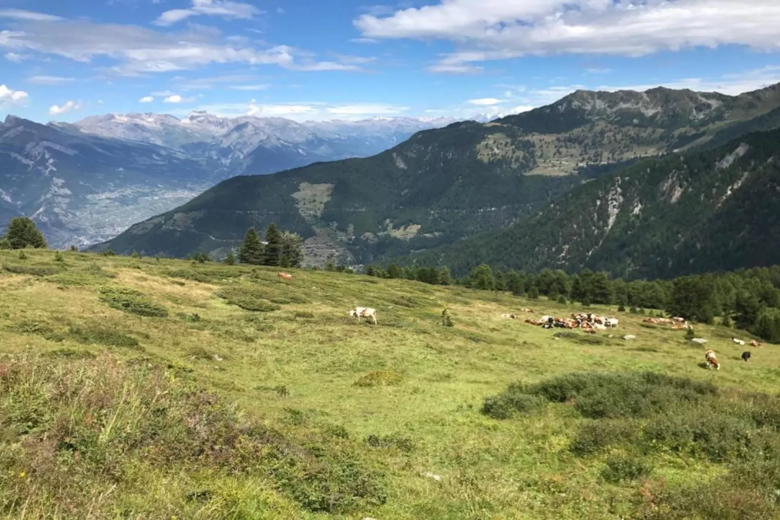Les Etoiles-Gebieden zomer 20km