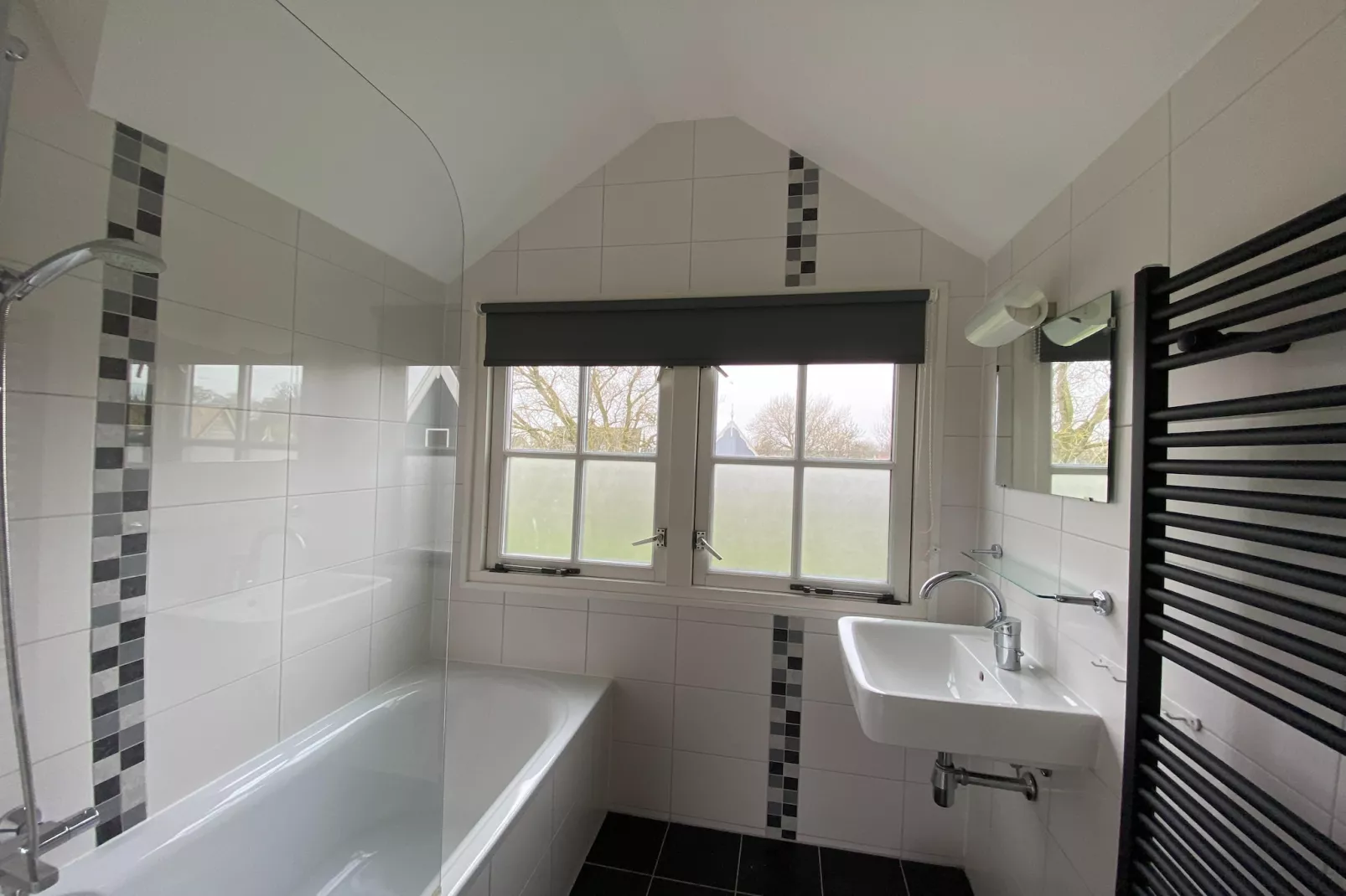 Recreatiepark Wiringherlant - Villa 14-Badkamer