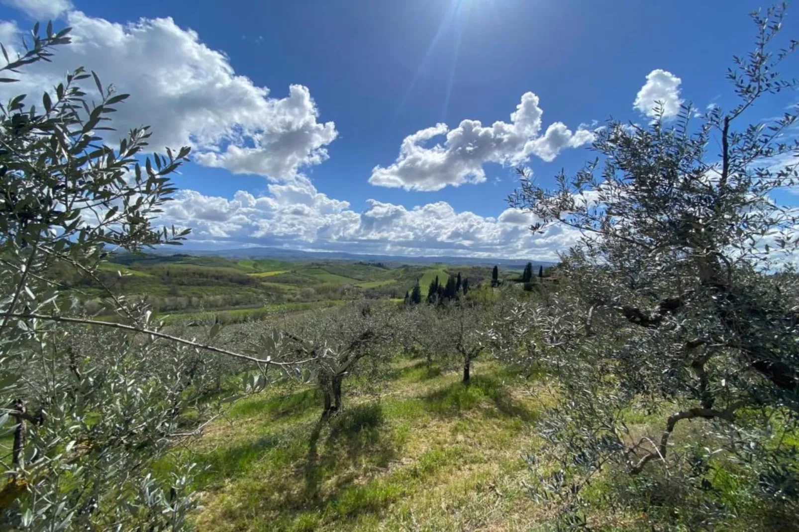 Castagno-Gebieden zomer 20km