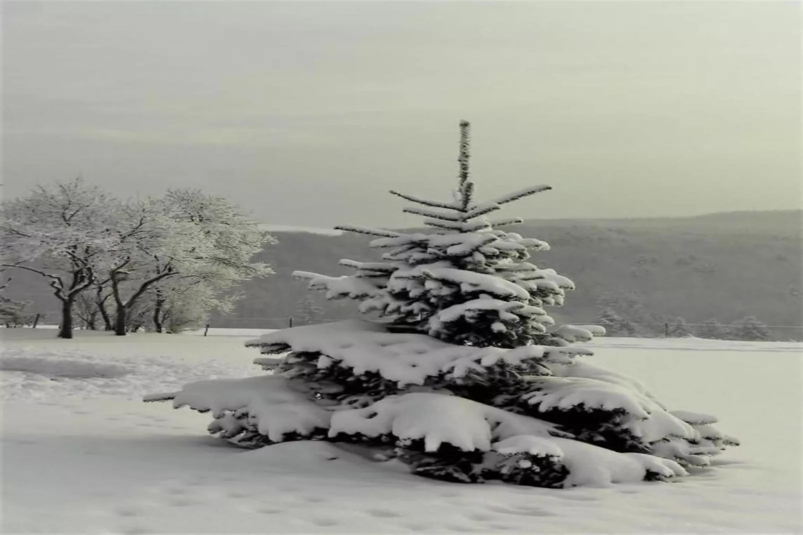 Bungalow Typ B 4P - Camping Park in der Eifel-Gebied winter 20km