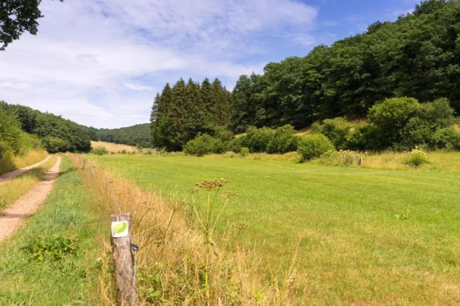Bungalow Typ B 4P - Camping Park in der Eifel-Gebieden zomer 20km