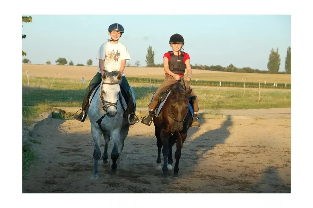 403722-Niet-getagd
