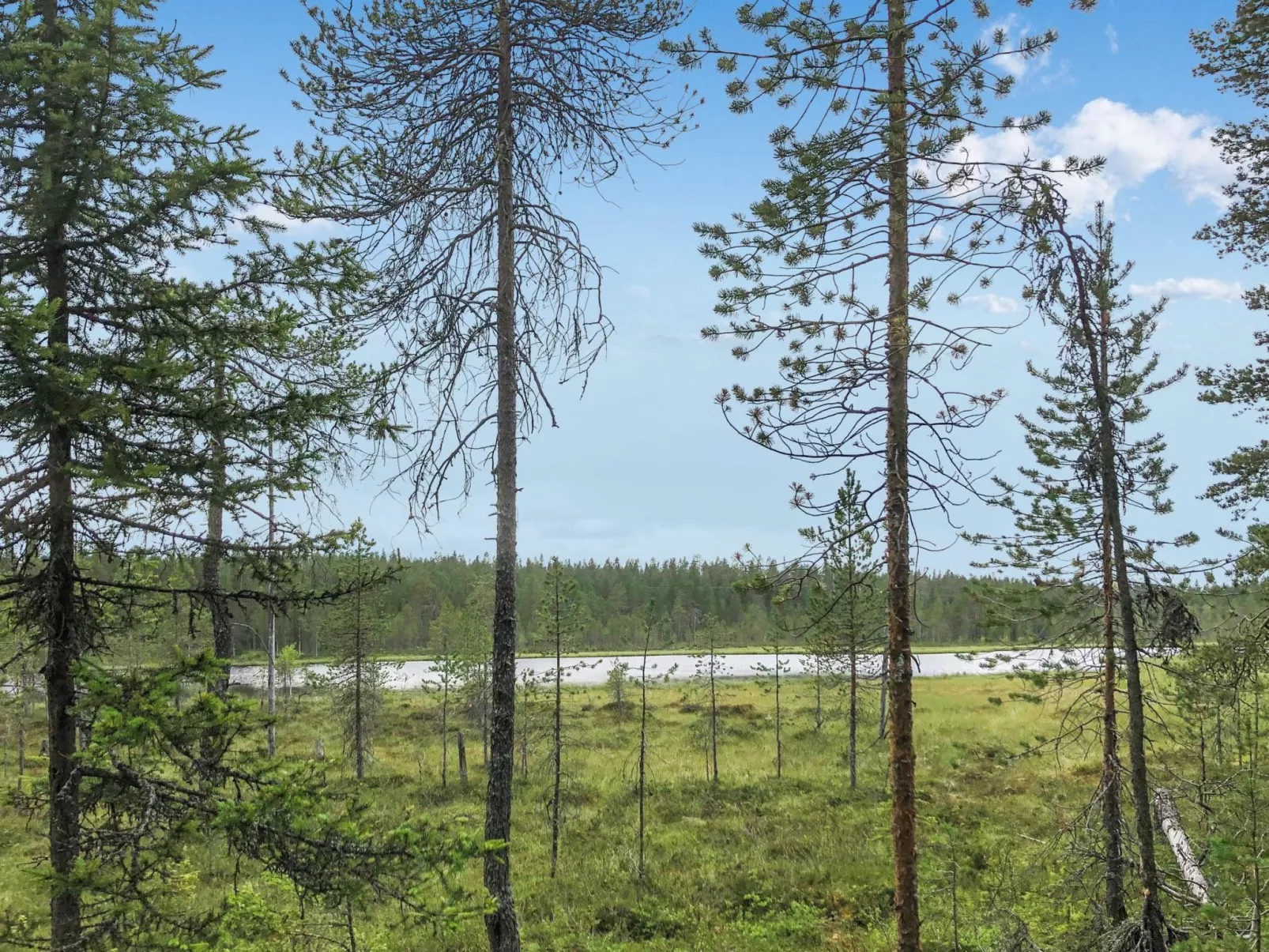 Pajalan hirsitupa-Buiten