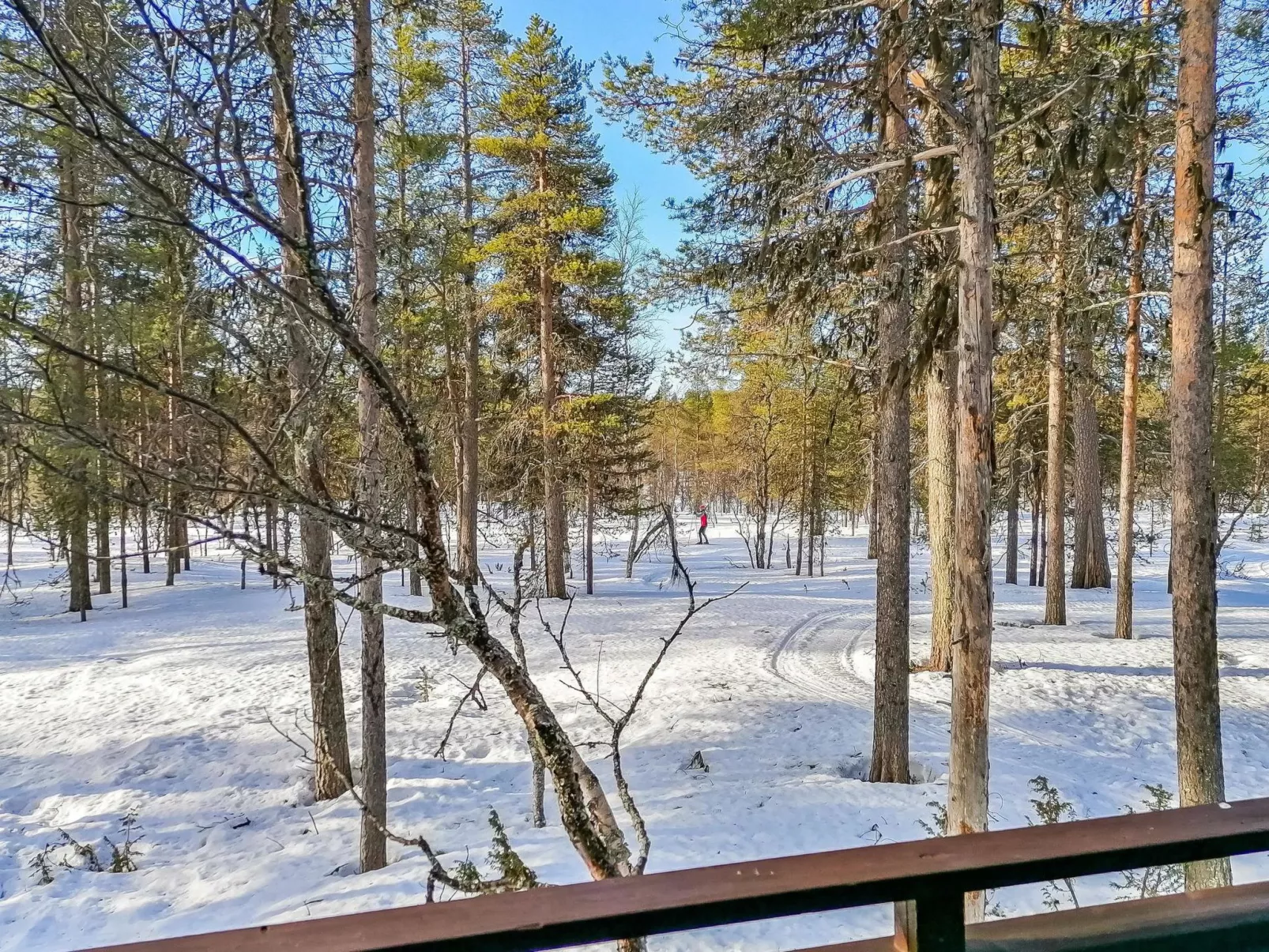 Siulapalkinen b 8-Buiten