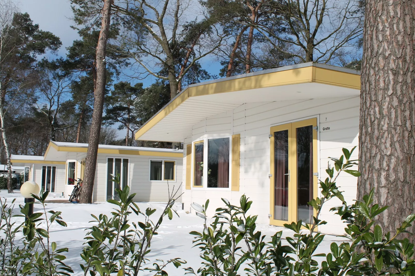 Bungalow Chalet+ | 2 - 6 people-Exterieur winter