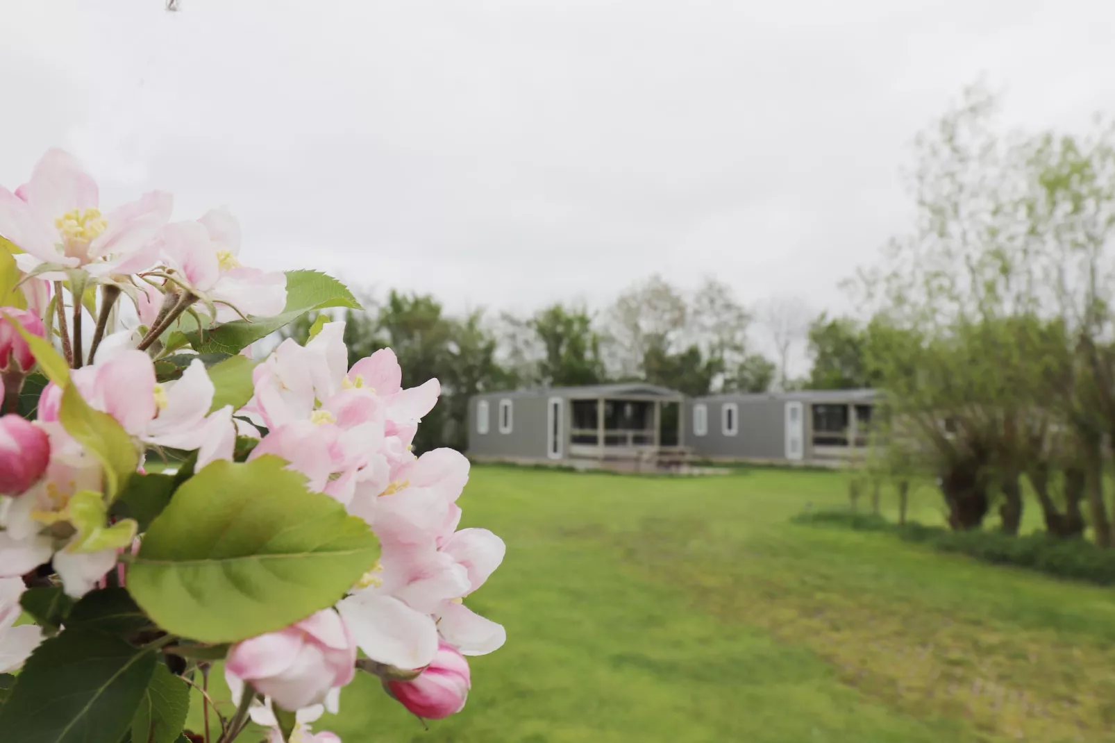 Cosy cabin 2-Buitenkant zomer