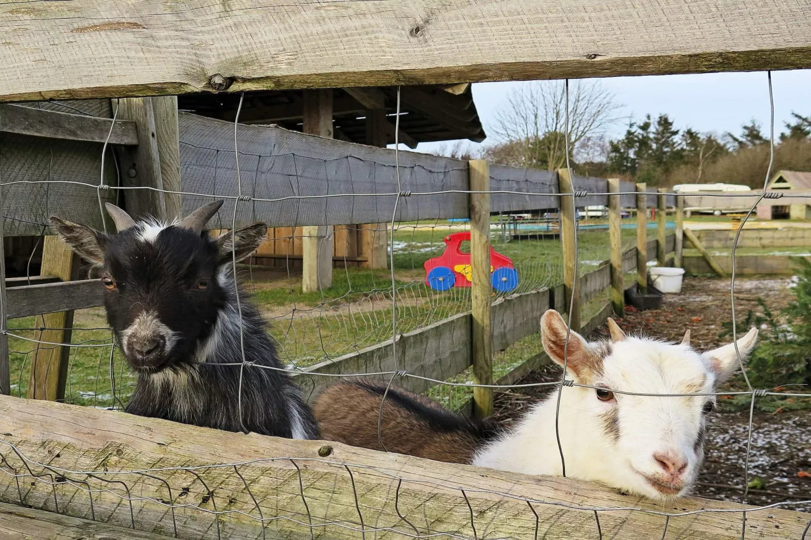 4 persoons vakantie huis in Struer-Uitzicht