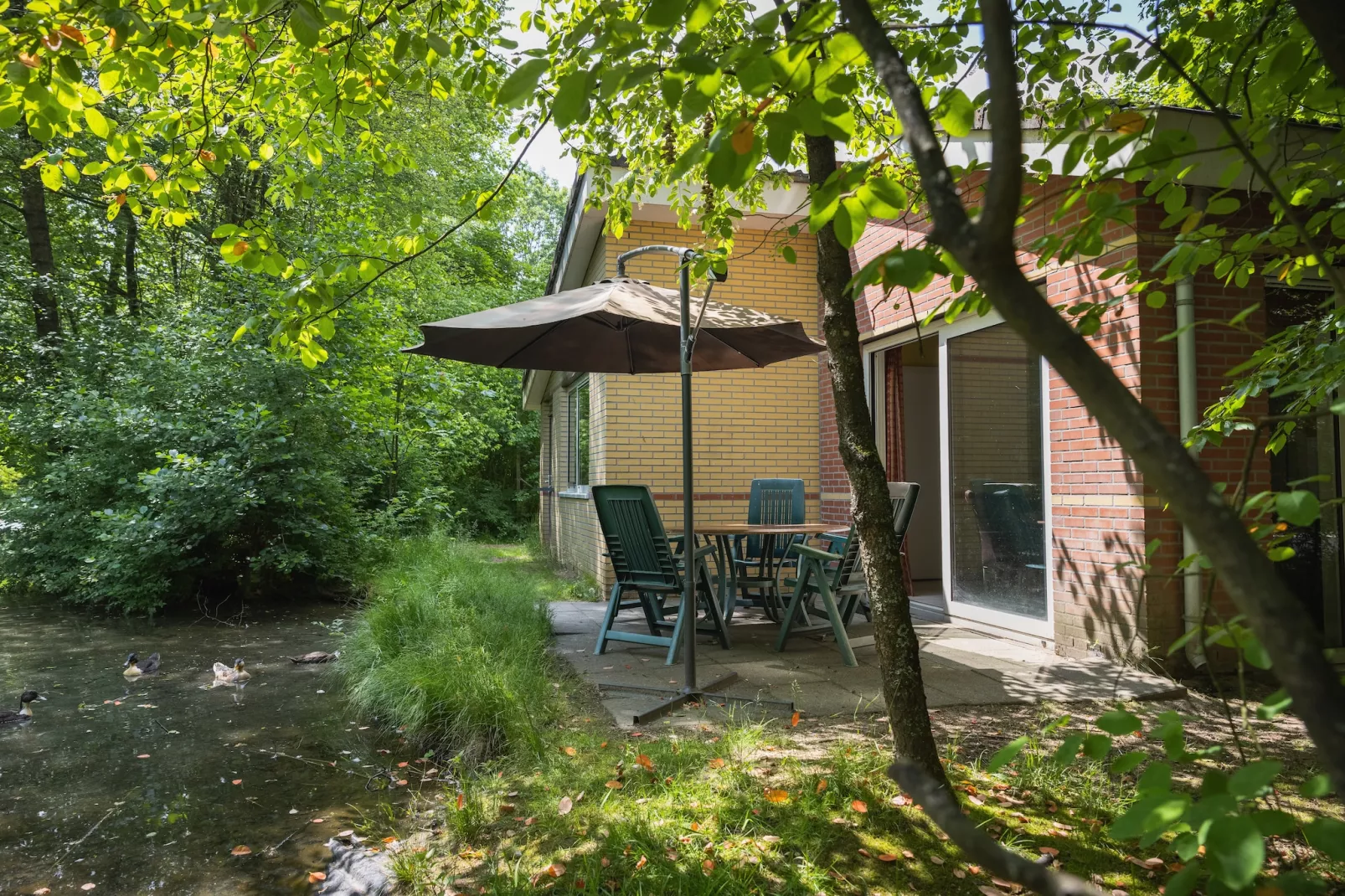 Vakantiepark de Berkenhorst 8-Buitenkant zomer