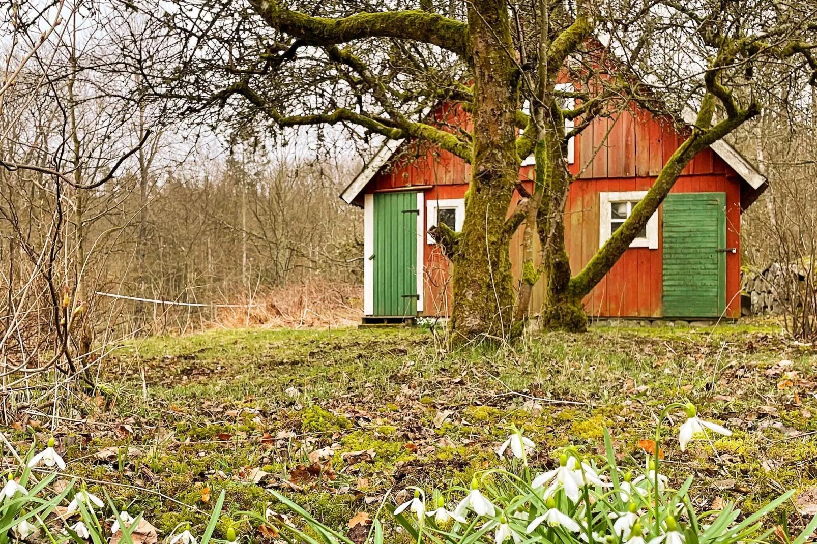 4 persoons vakantie huis in SÖLVESBORG-By Traum