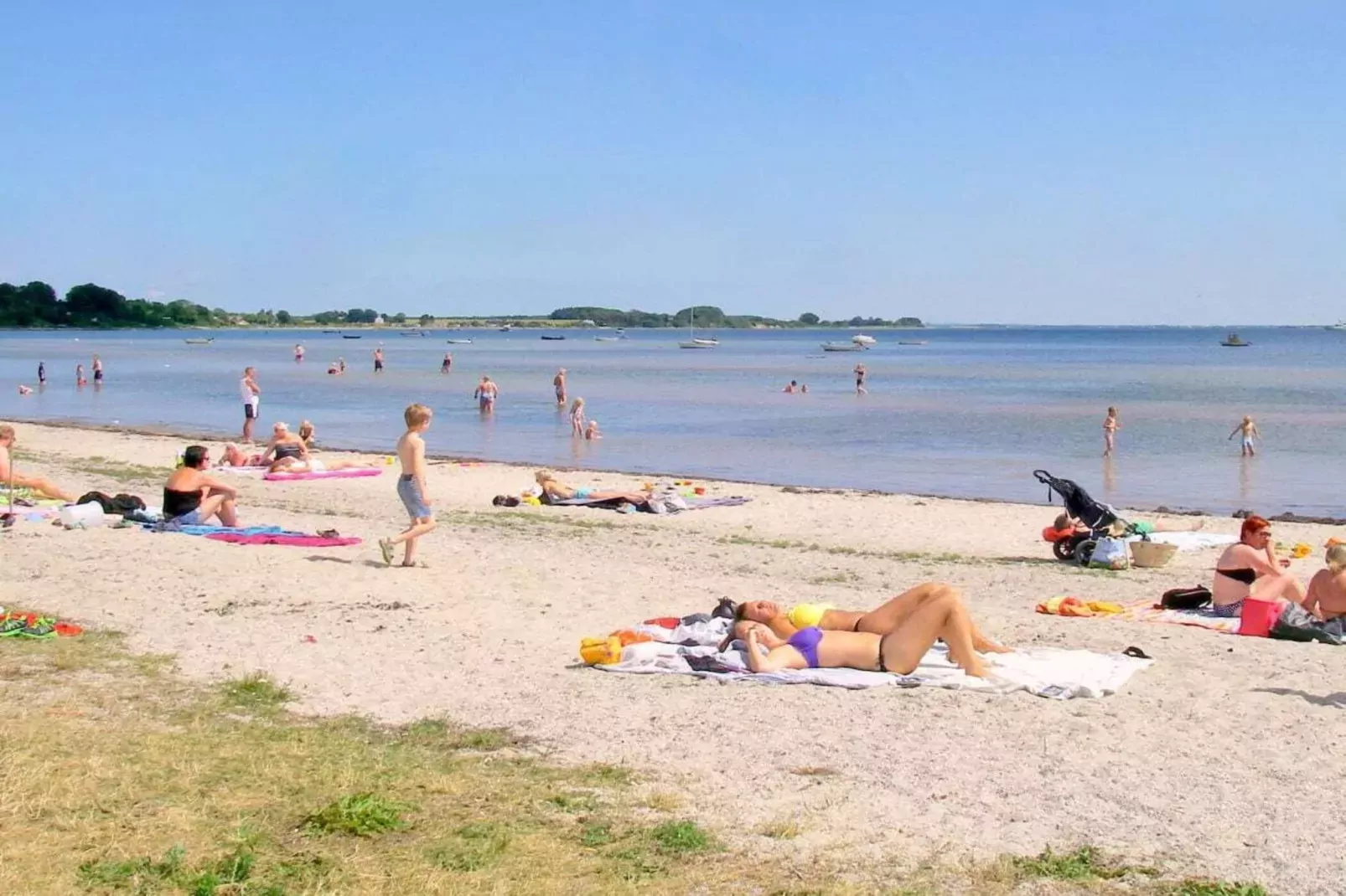 141732-Gebieden zomer 5km