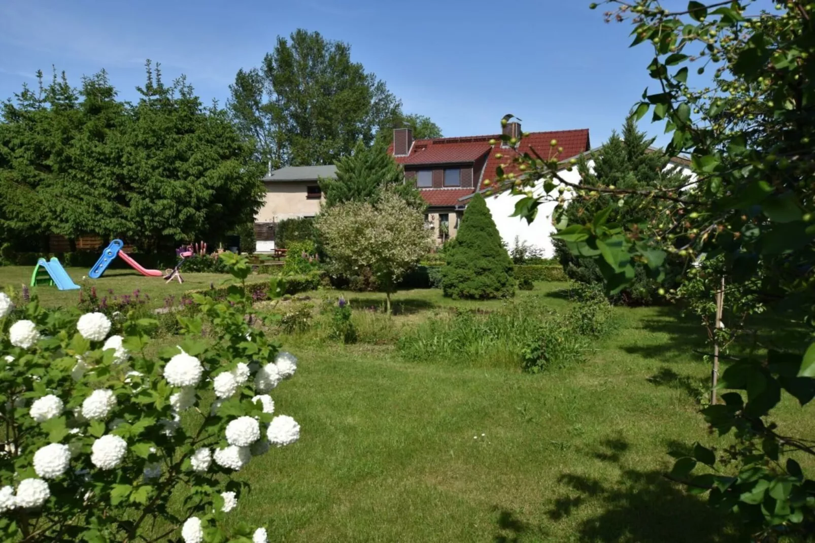 218716-Gebieden zomer 1km