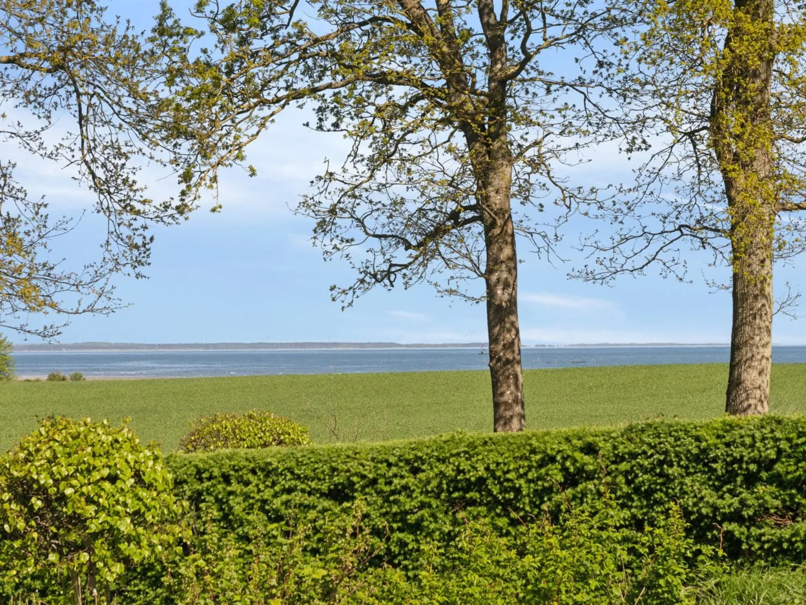 "Todor" - 400m from the sea-Buiten