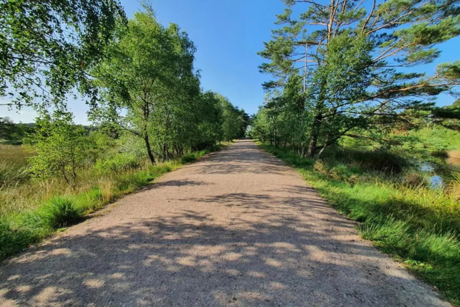 Waldsuite-Gebieden zomer 5km