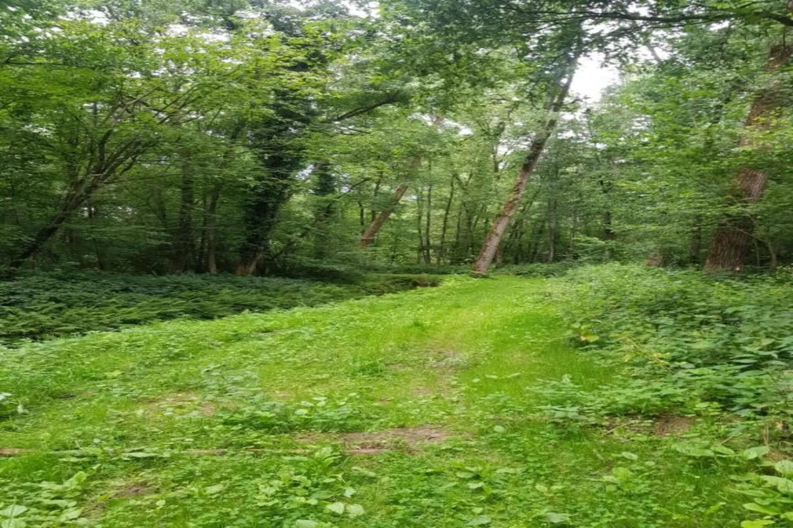 De woelige stal-Gebieden zomer 20km