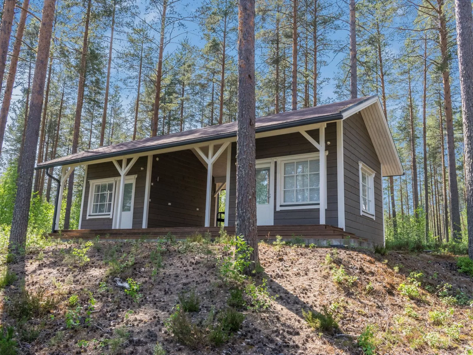 Kotaniemi-Buiten