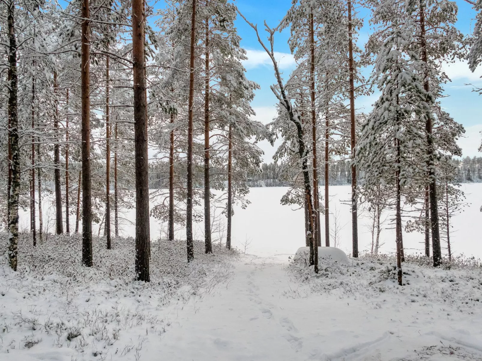 Puolukka-Buiten