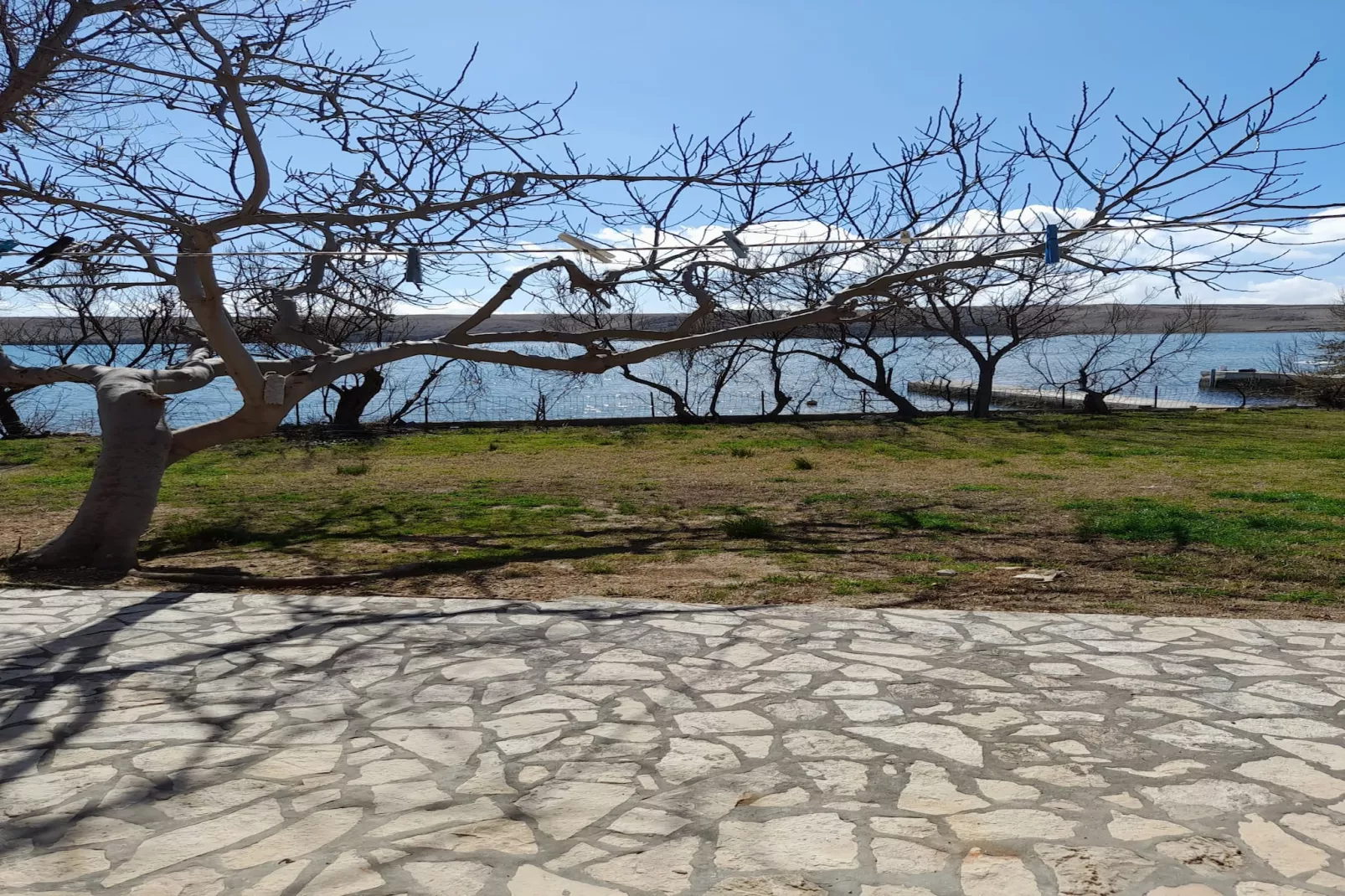 Apartments Dubravica - studio apartment-Terras