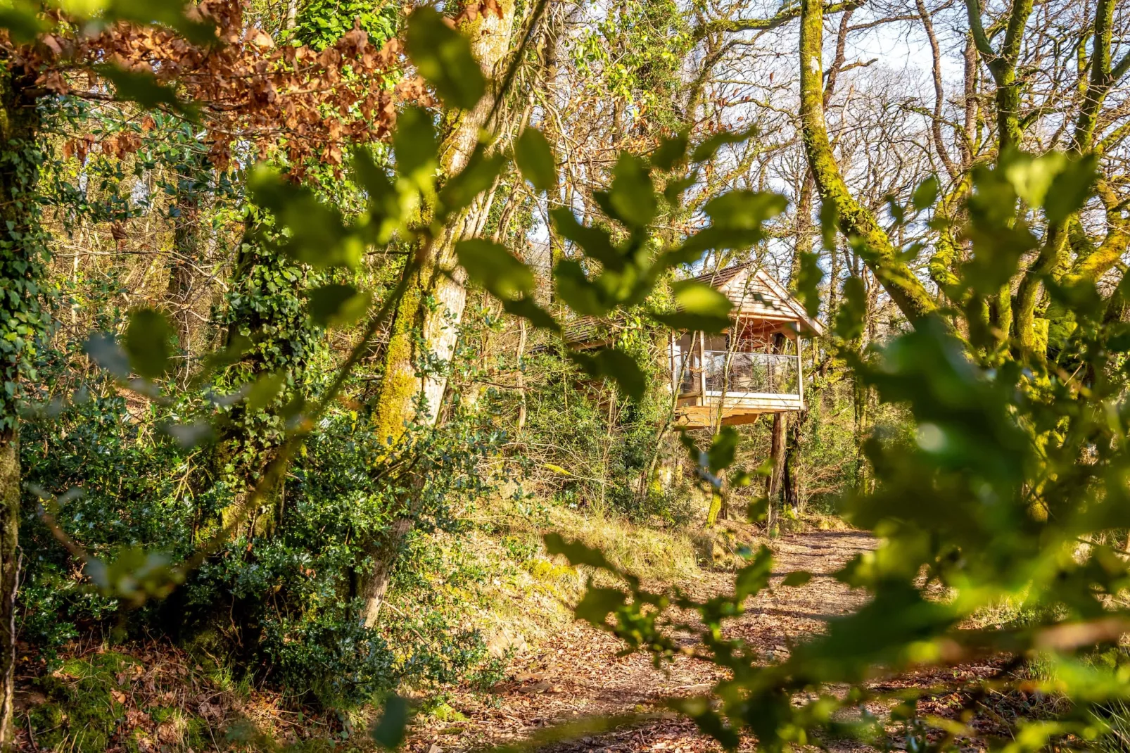 Yeworthy Eco-Treehouse-Buitenlucht