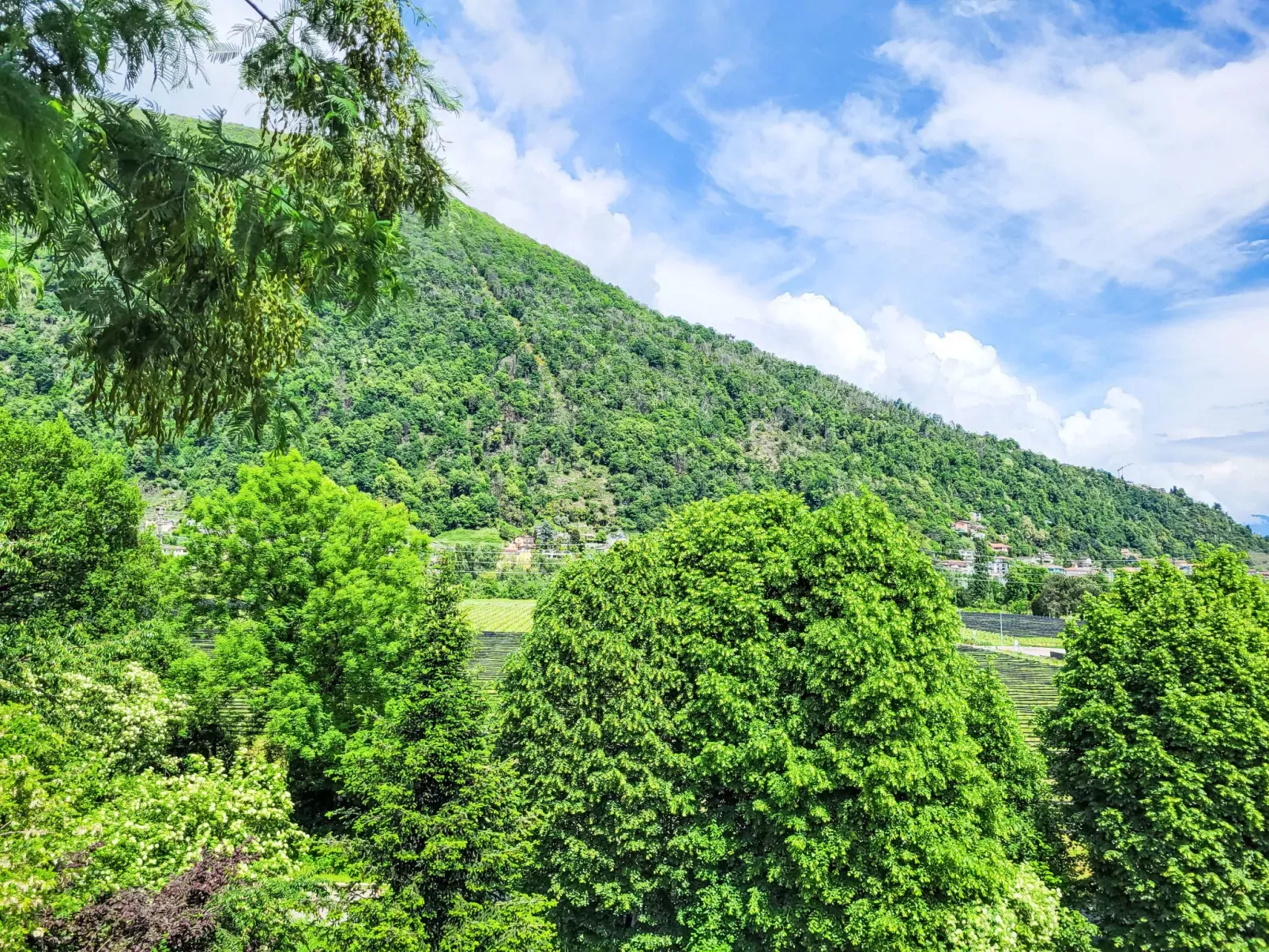 Appartment sulle Viti-Buiten