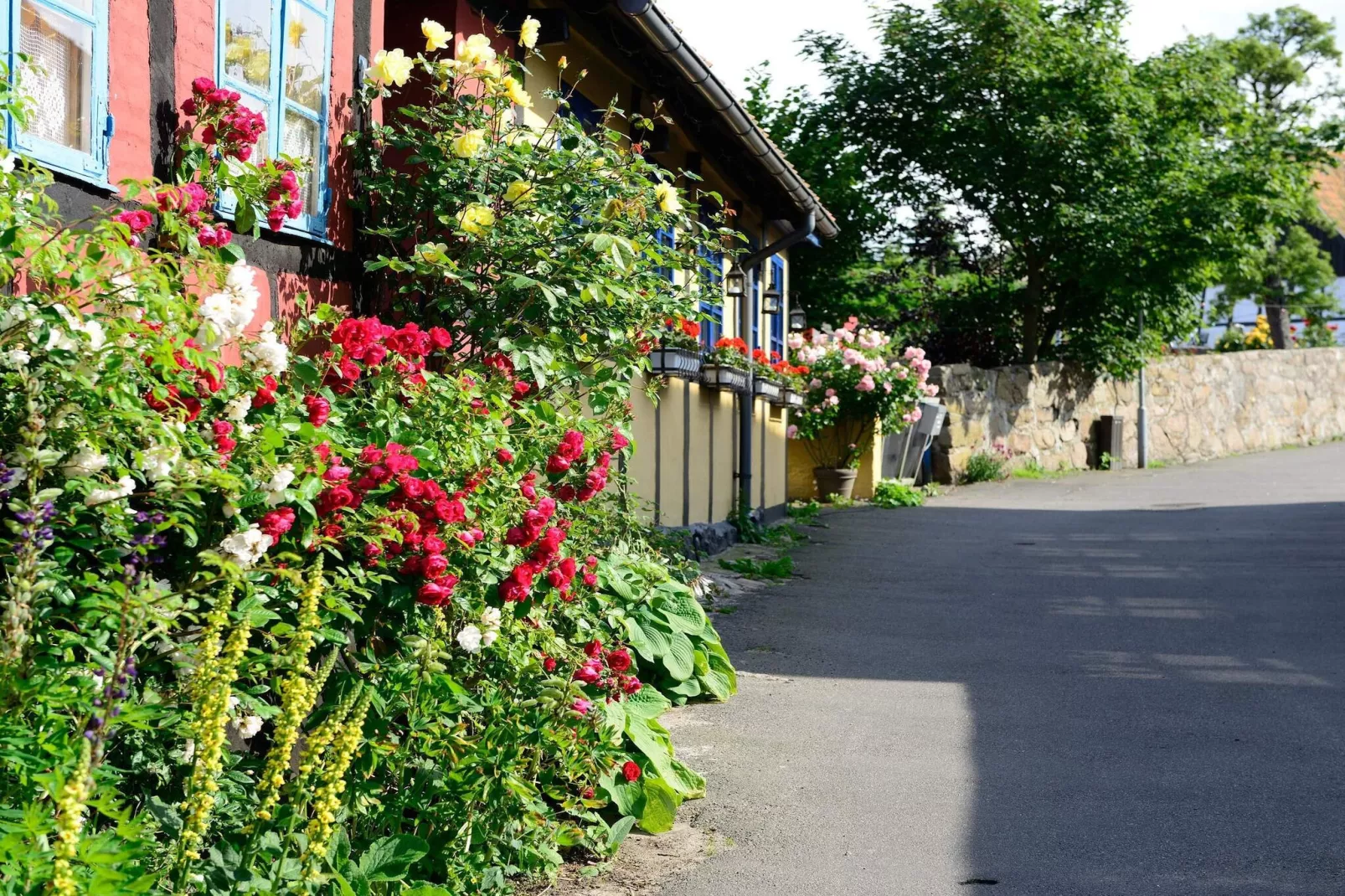 6 persoons vakantie huis in Allinge-Niet-getagd
