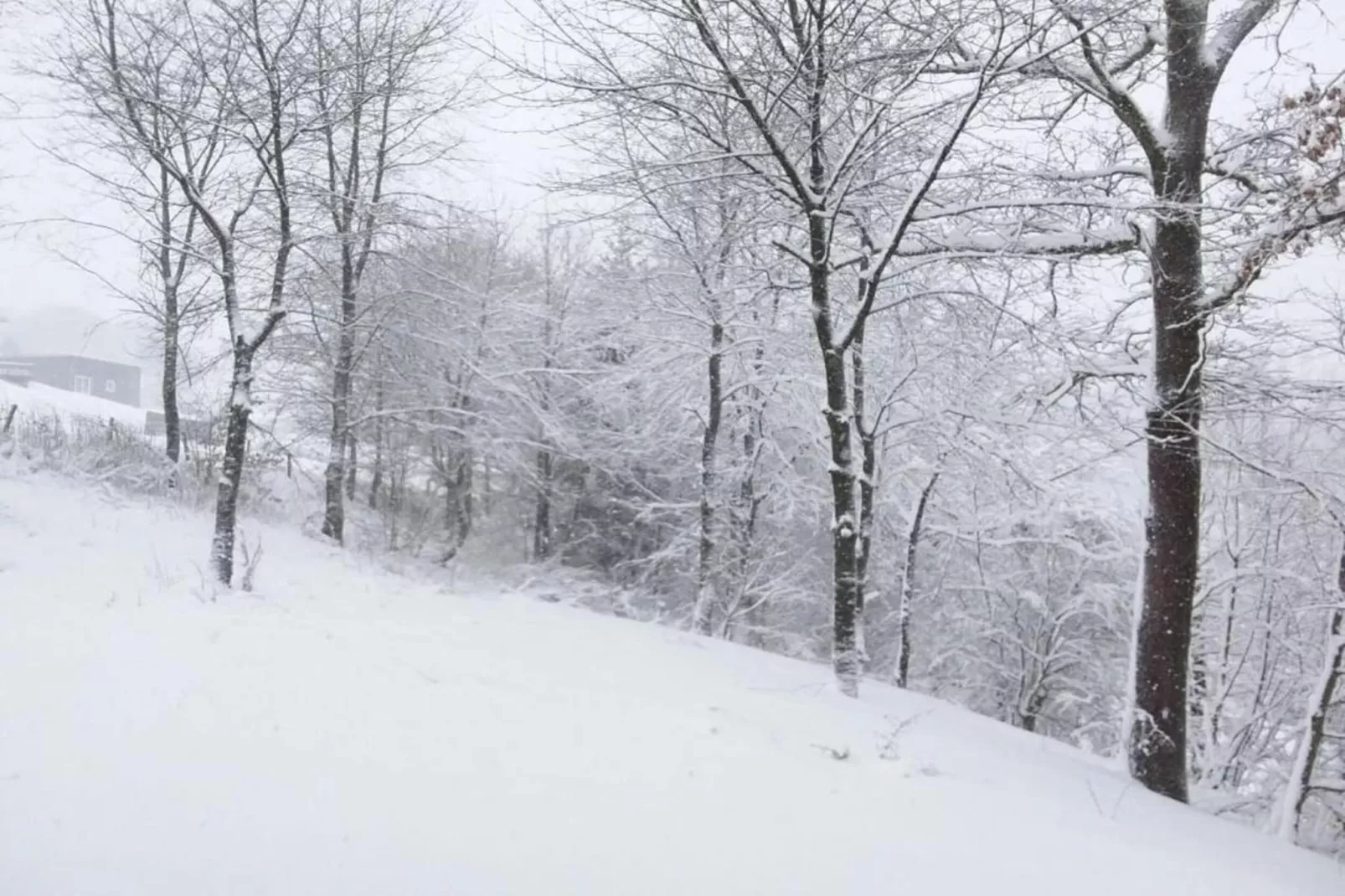 Névada pour cinq-Gebied winter 20km