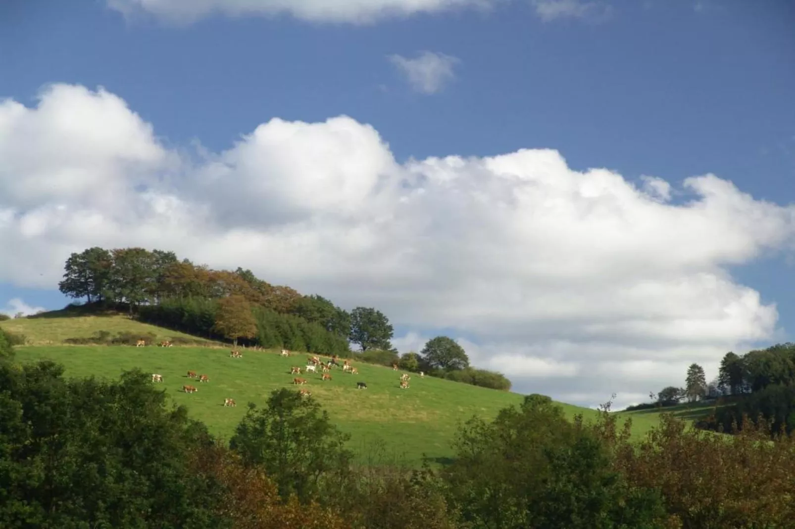 Freiblick-Gebieden zomer 20km