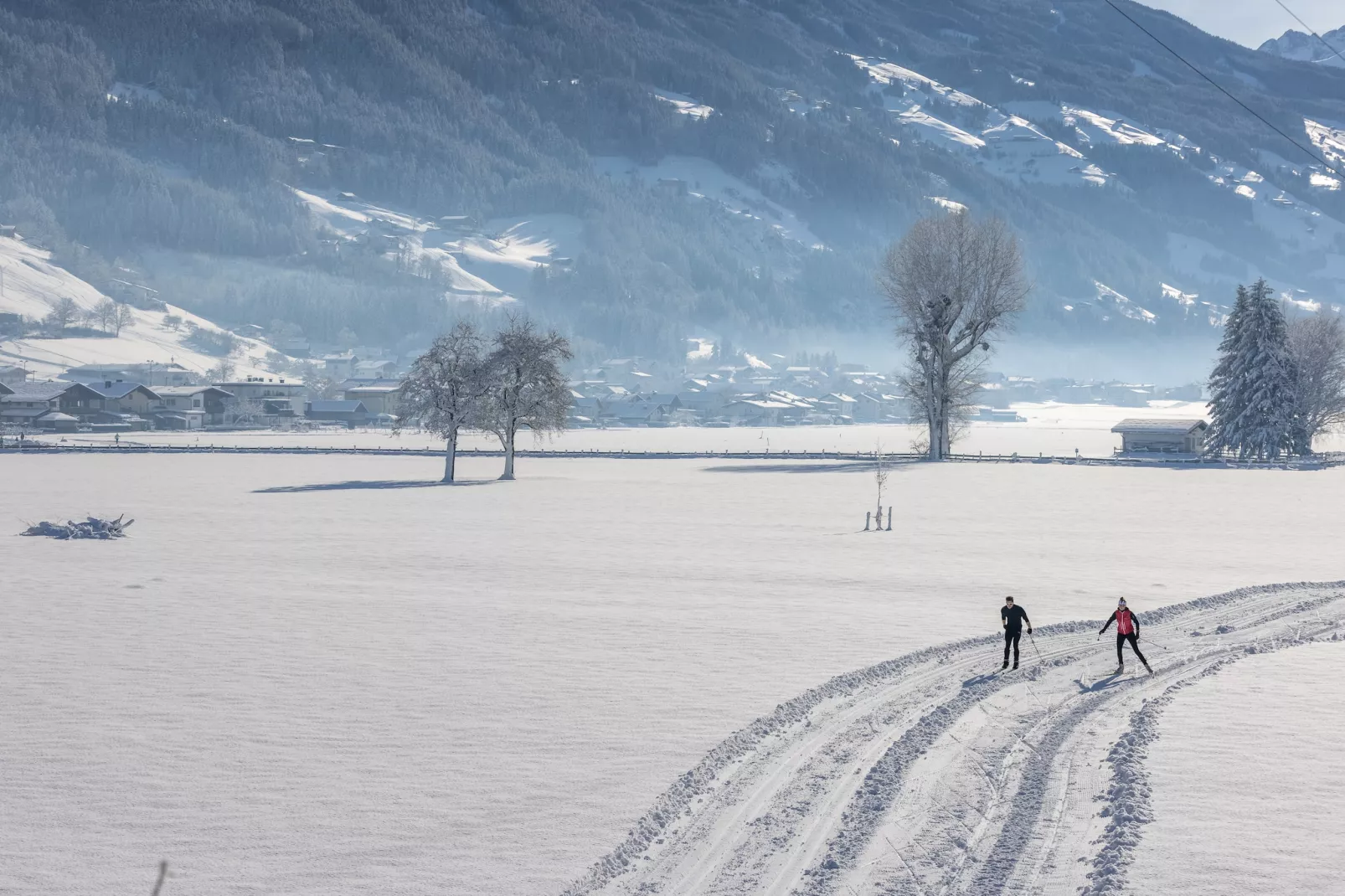 Zirbenstube-Gebied winter 20km