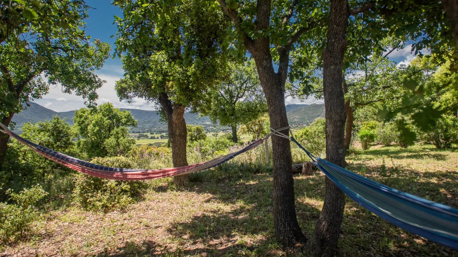 Entre les vignes-Tuinen zomer