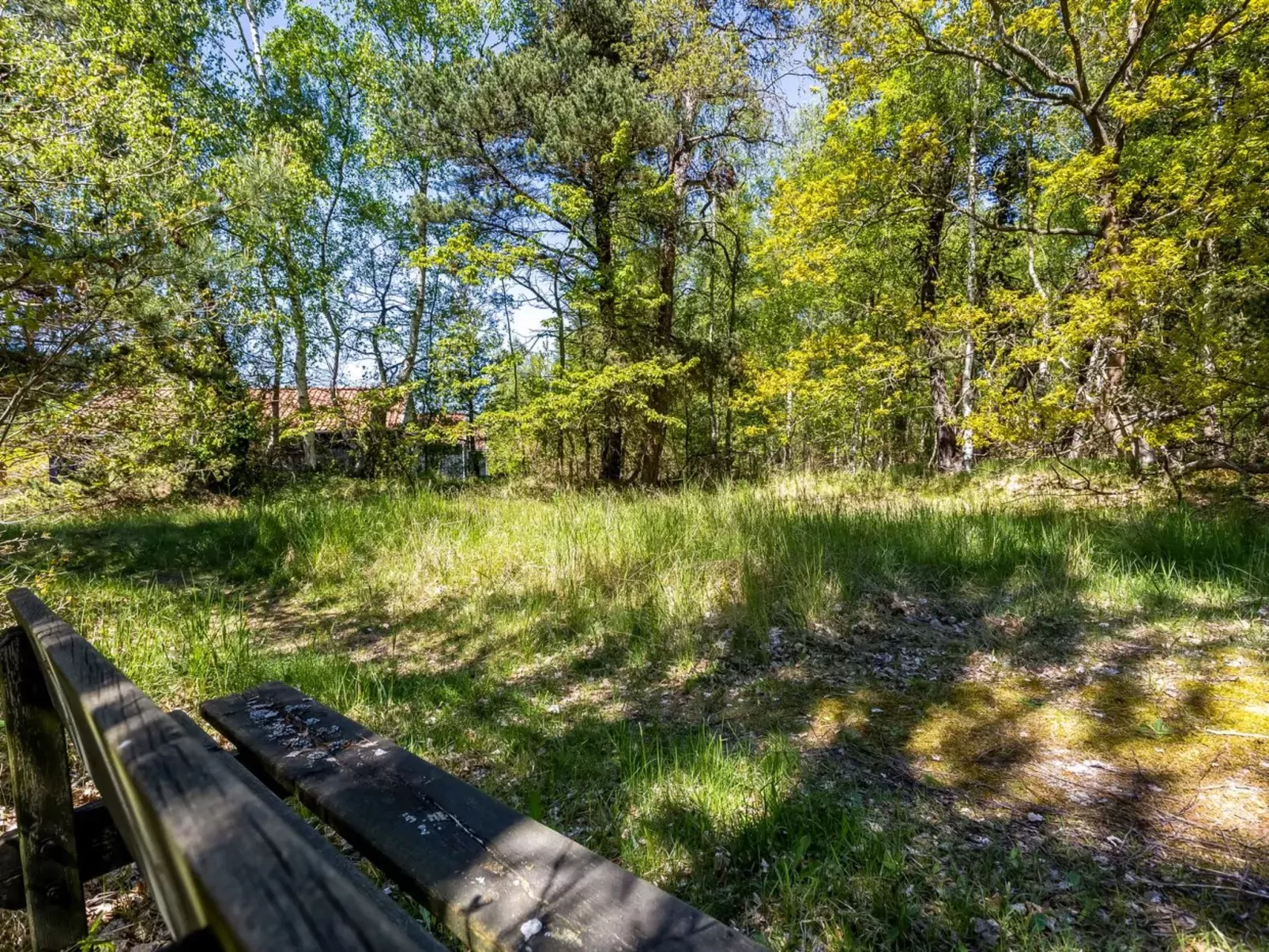 "Alfi" - 300m from the sea-Buiten