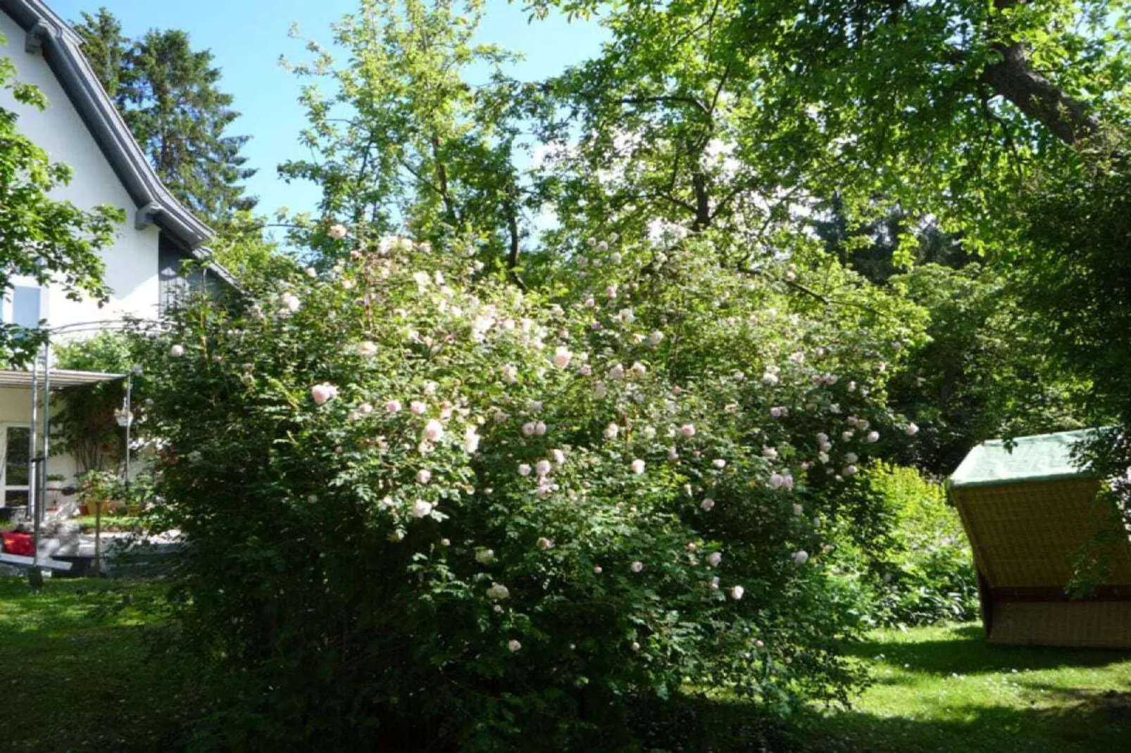 36216-Gebieden zomer 1km