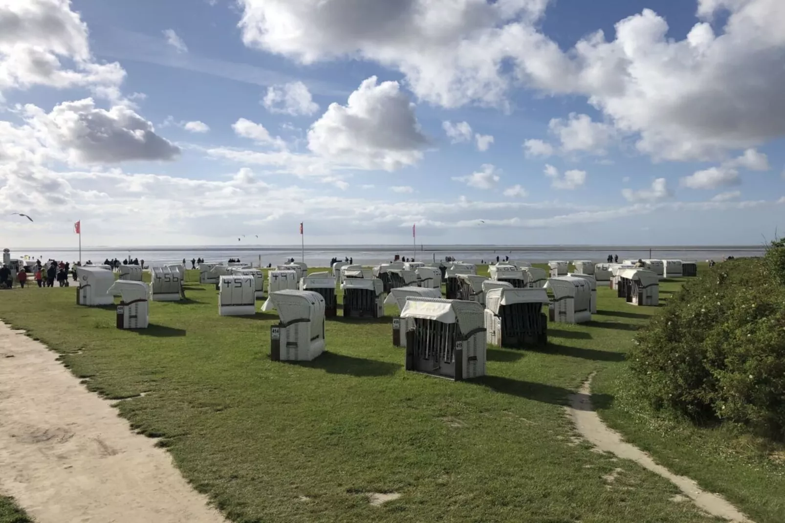 396943-Gebieden zomer 1km