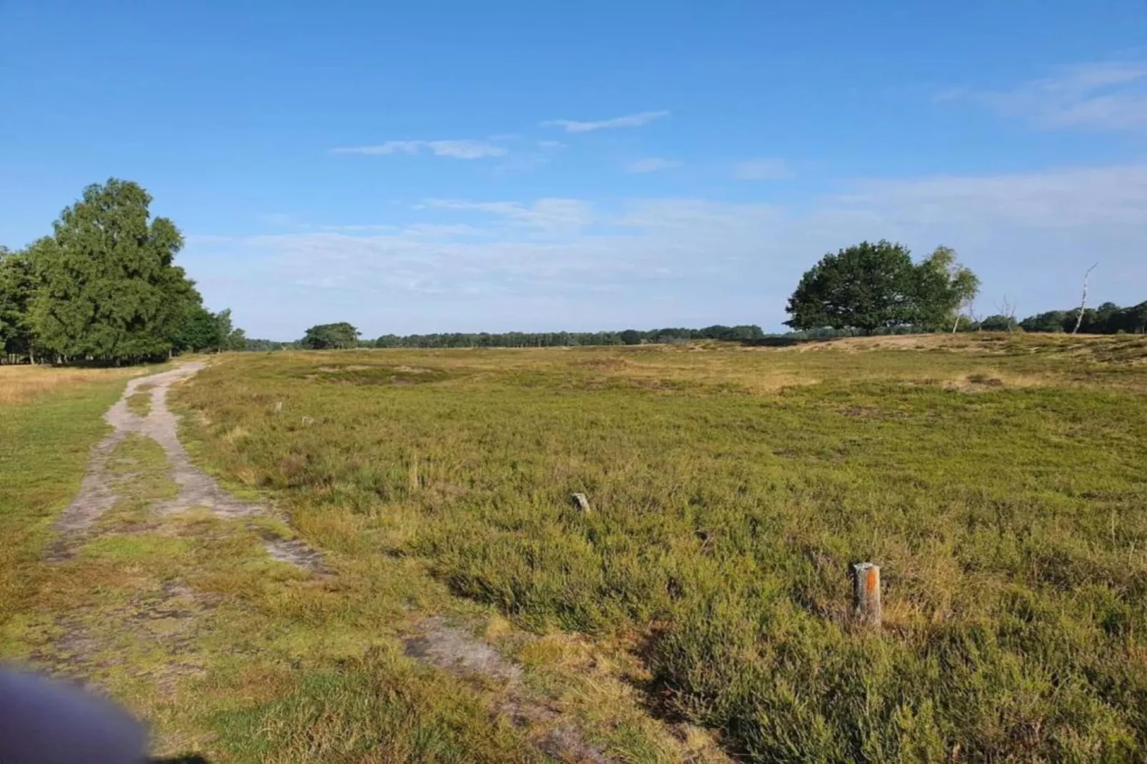Waldsuite-Gebieden zomer 5km