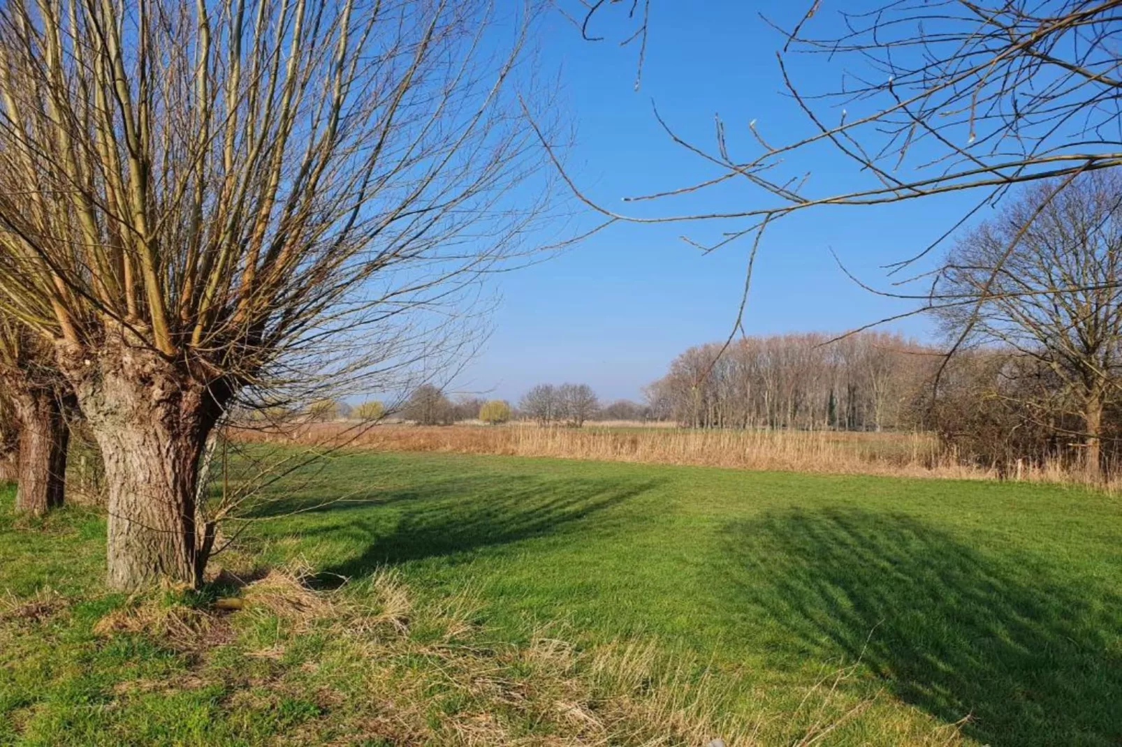 De woelige stal-Gebieden zomer 20km